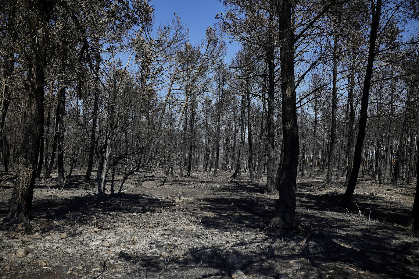 Fotos: Así se encuentra Bejís tras el paso del fuego