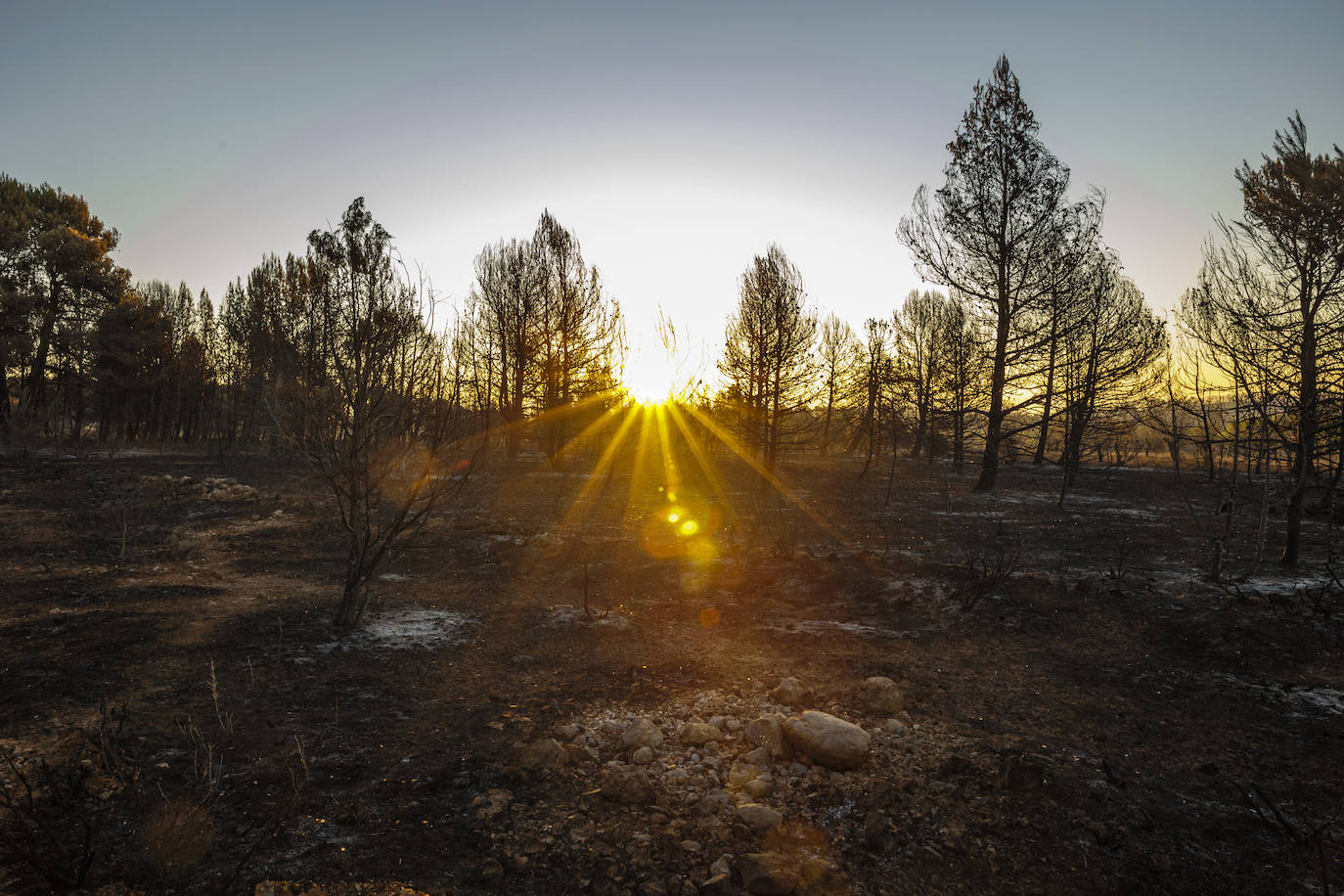 Fotos: Así se encuentra Bejís tras el paso del fuego