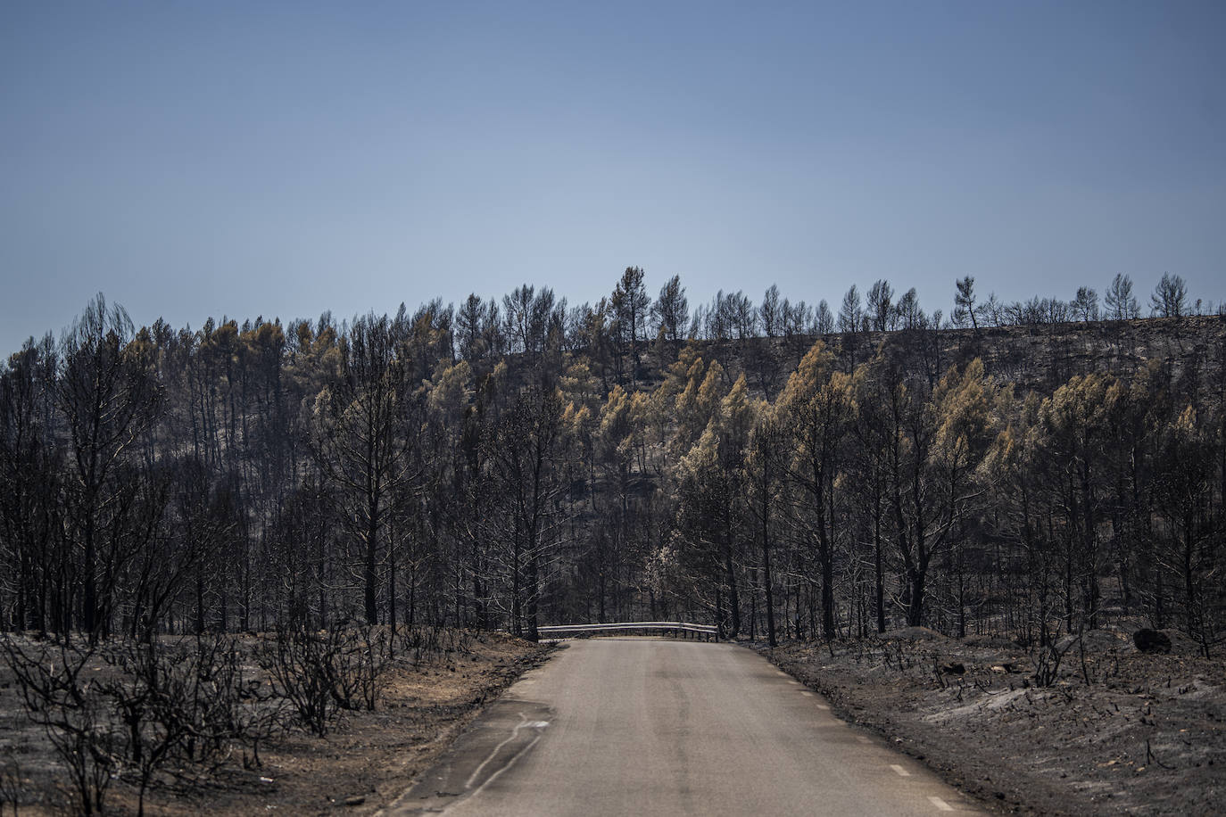 Fotos: Así se encuentra Bejís tras el paso del fuego