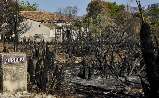 Una finca arrasada por las llamas en el incendio de Vall d'Ebo. 