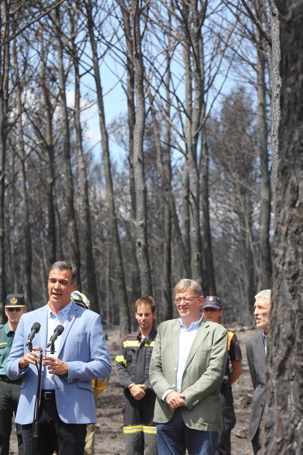 Fotos: Pedro Sánchez visita la zona afectada por el incendio de Bejís