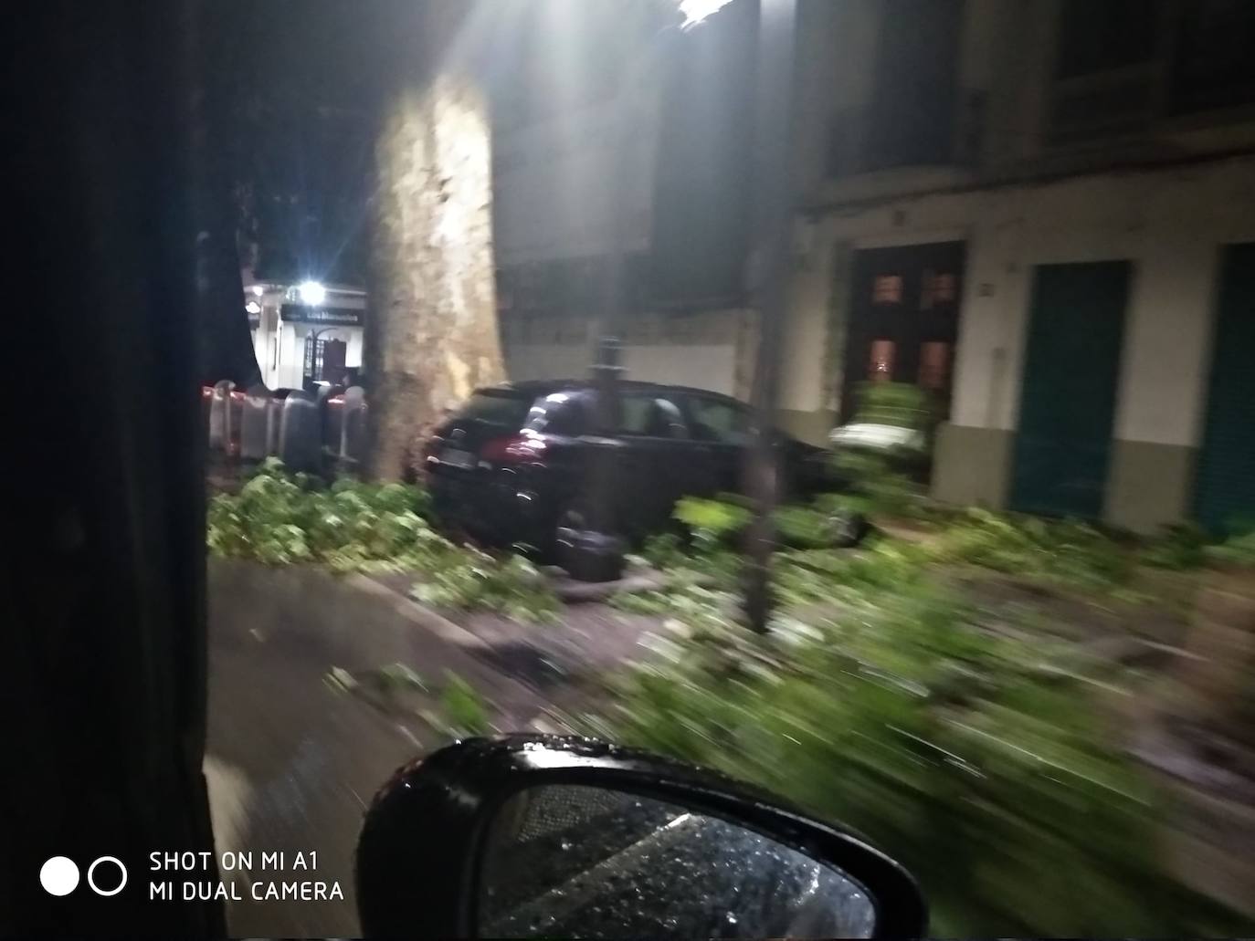 Fotos: Efectos del temporal de lluvia y viento a su paso por Xàtiva