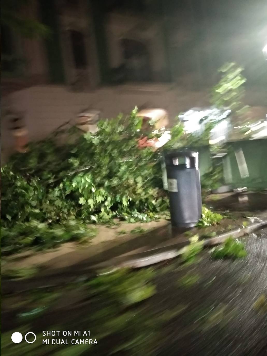 Fotos: Efectos del temporal de lluvia y viento a su paso por Xàtiva