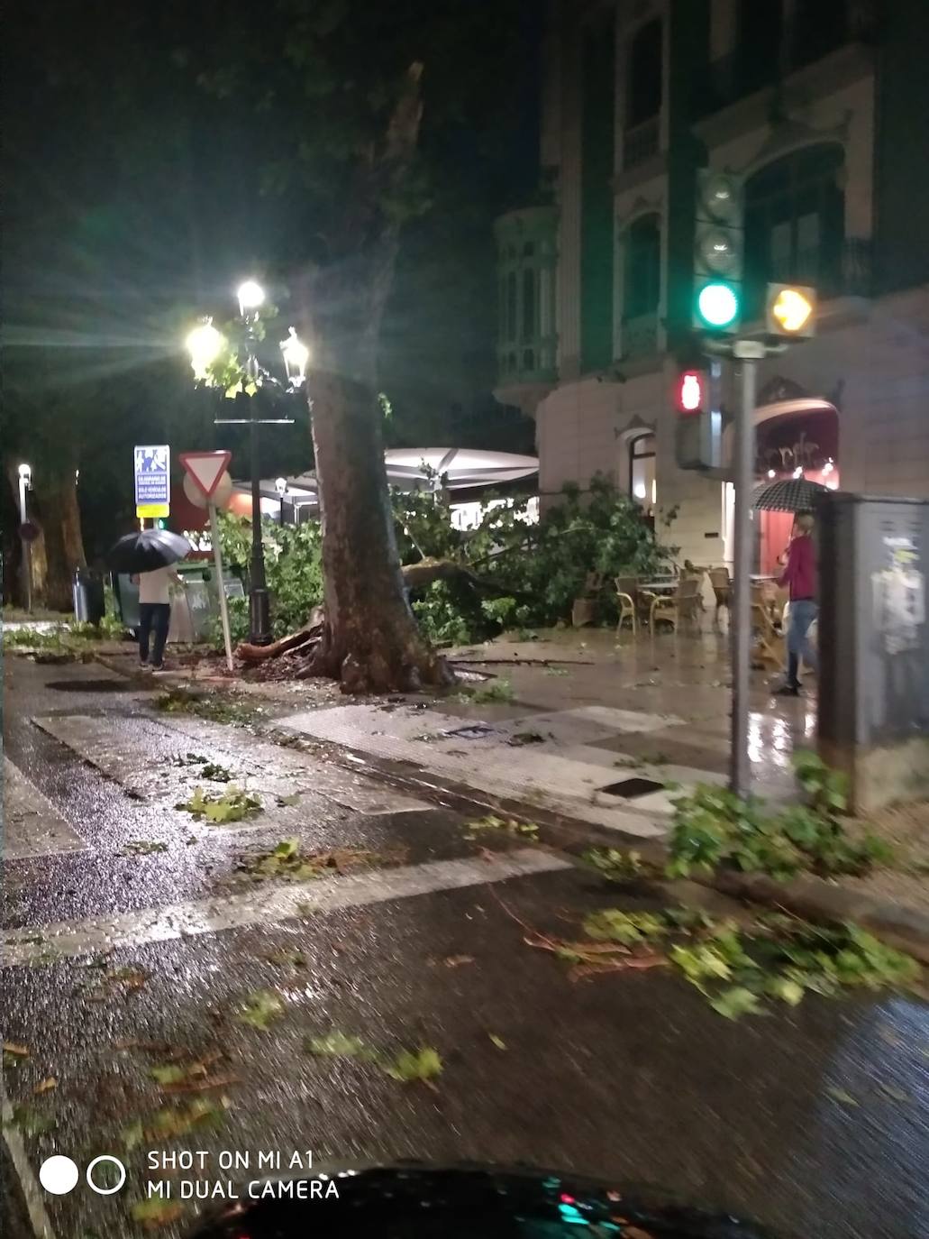 Fotos: Efectos del temporal de lluvia y viento a su paso por Xàtiva