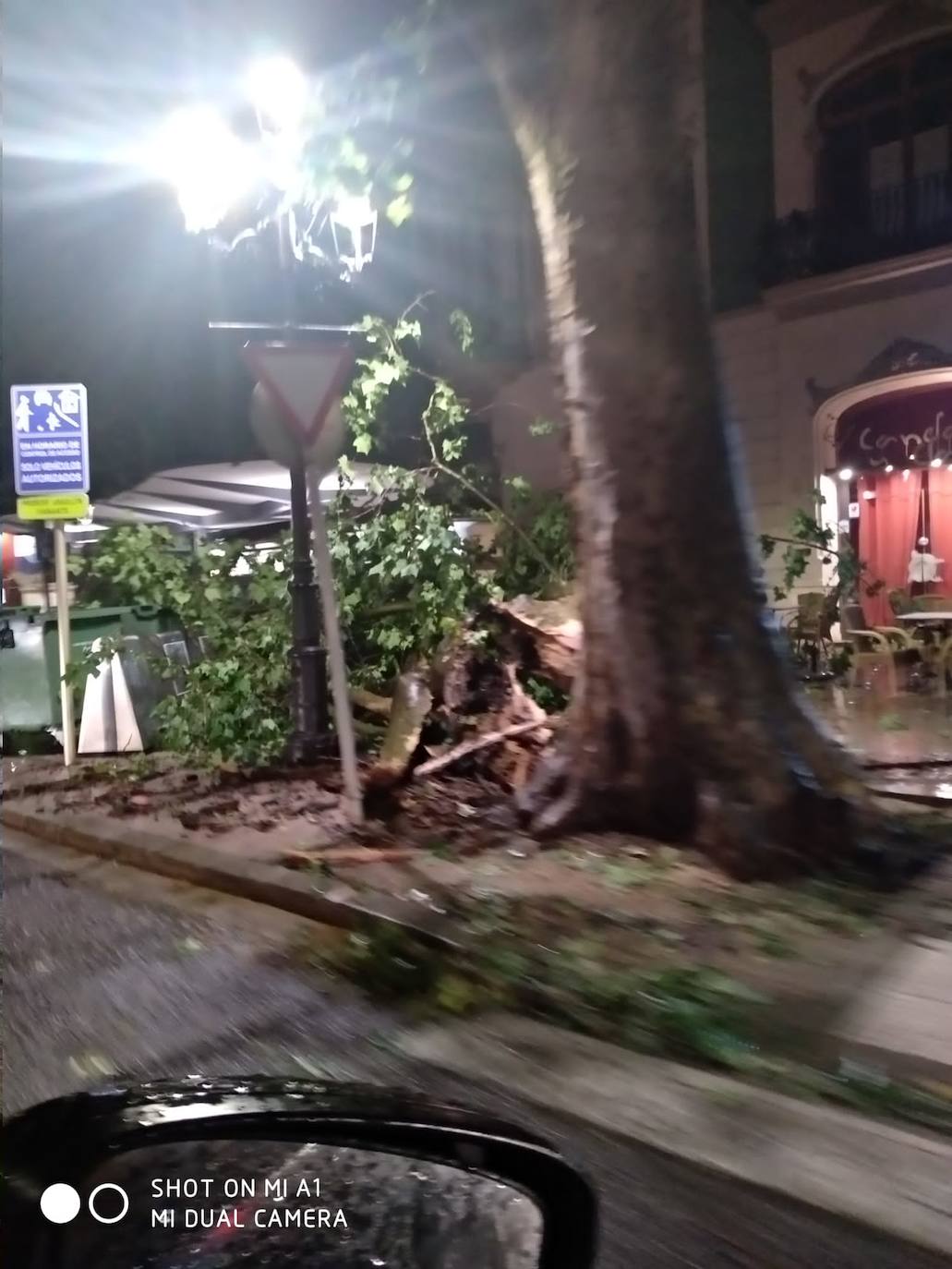 Fotos: Efectos del temporal de lluvia y viento a su paso por Xàtiva