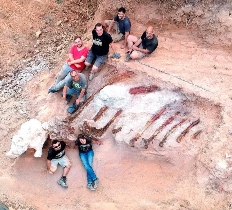 Fotos: El accidental hallazgo fósil del dinosaurio más grande en Europa