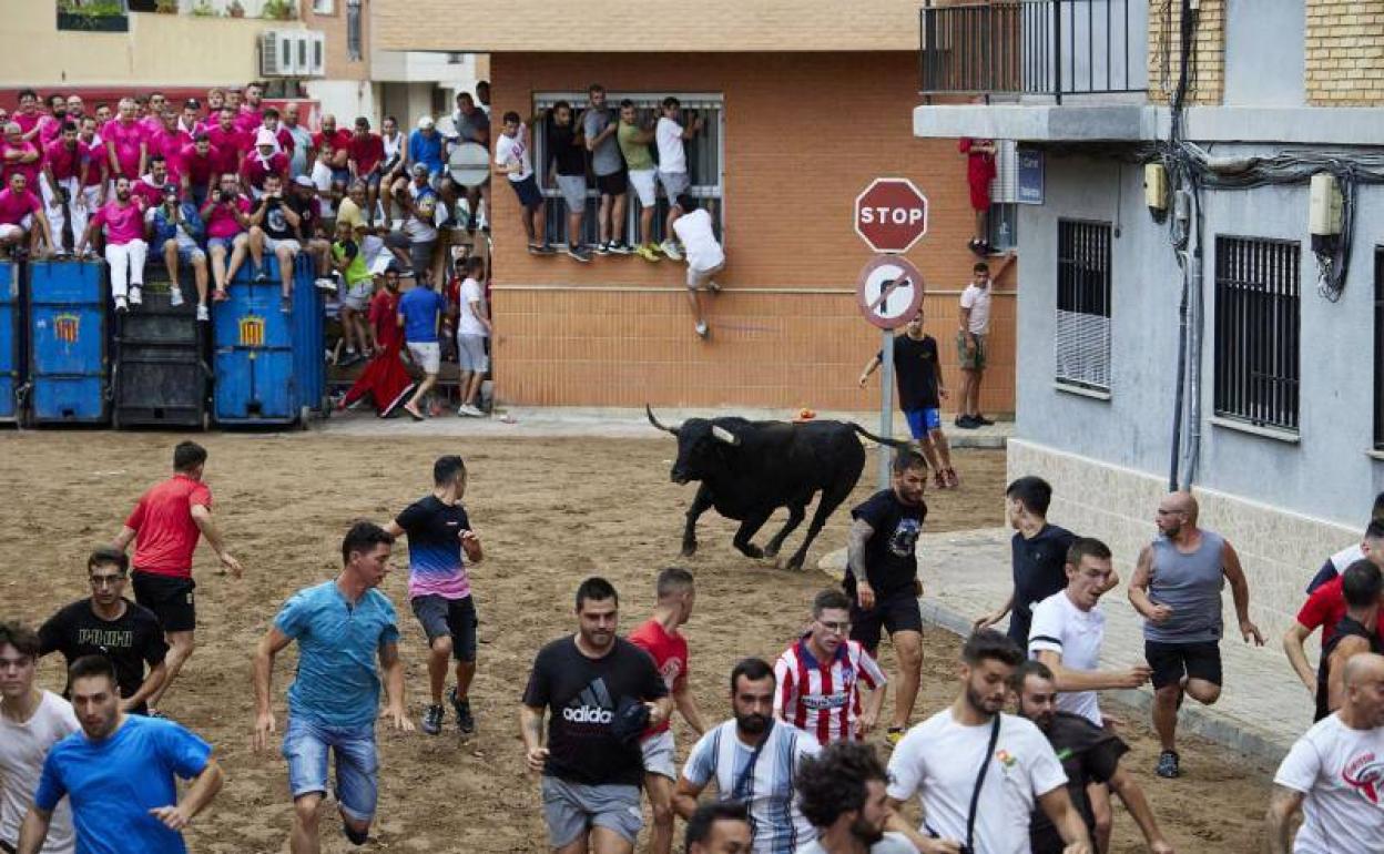 Un reciente espectáculo de bous al carrer. 