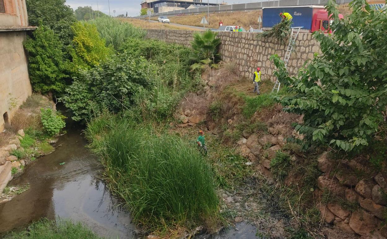 Los operarios retiran la maleza del barranco. 