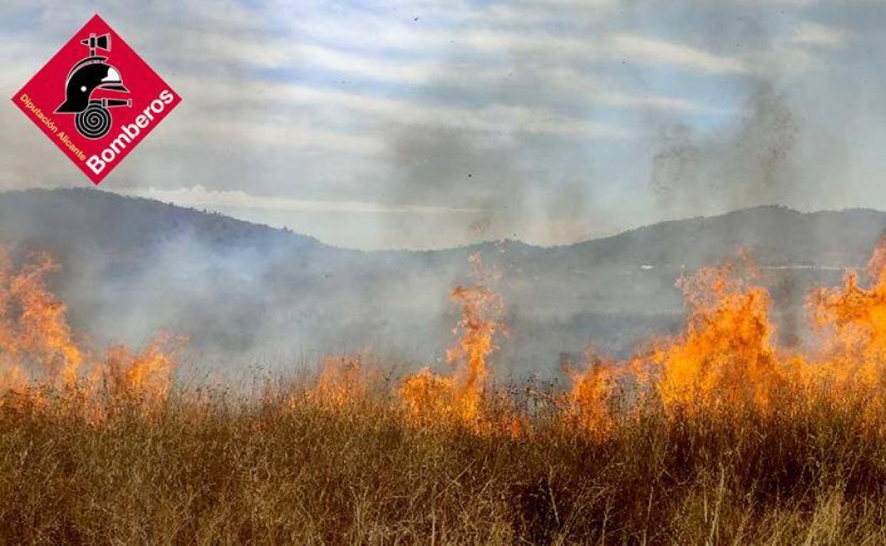 El fuego se ha extendido a varias parcelas antes de quedar extinguido. 