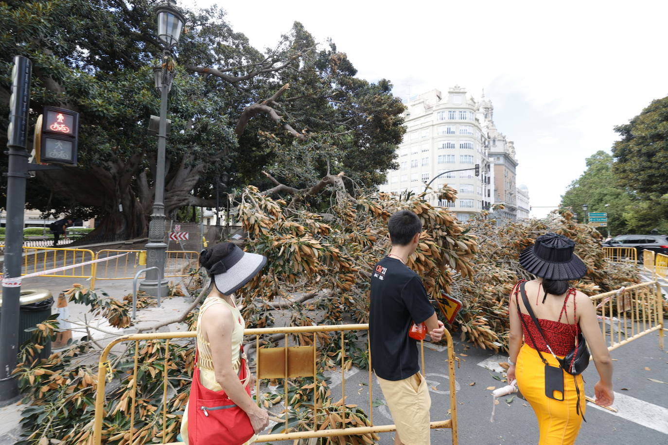 Estos son los desperfectos tras la caída del ficus