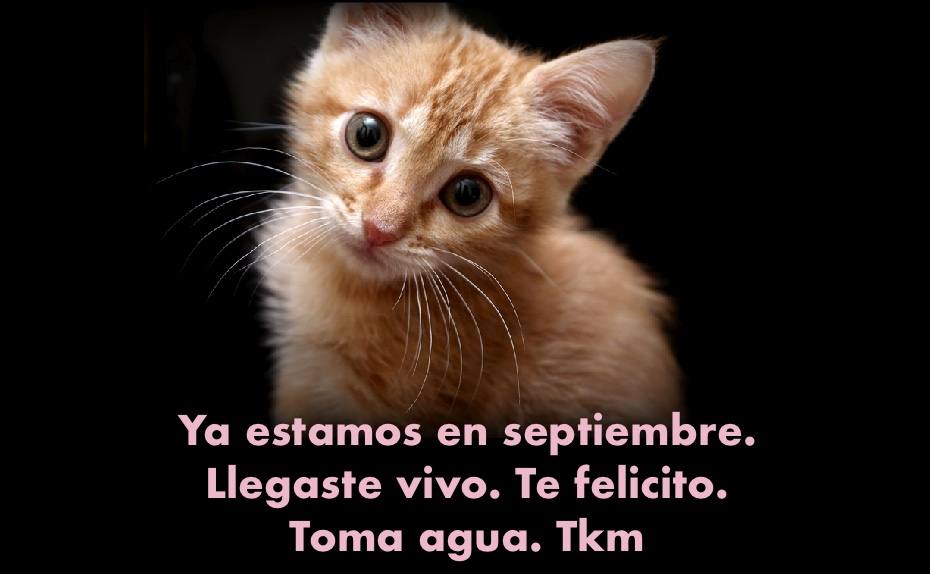 Bienvenido a septiembre. Que acabe cuanto antes 