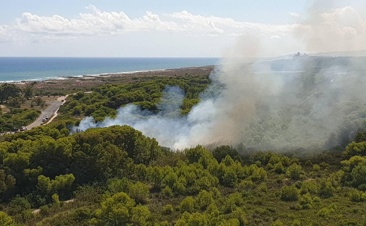 Incendio registrado el sábado en la Devesa de El Saler. 