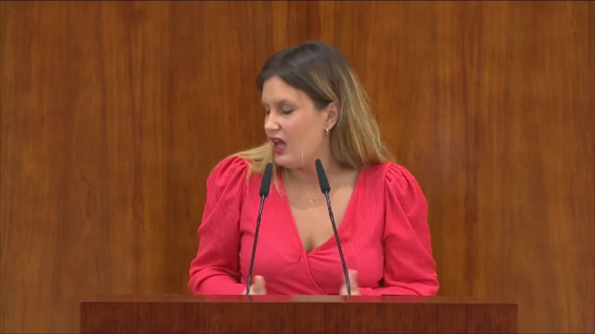 Podemos carga contra el "modelo de negocio" de Ayuso en favor de "unos pocos"