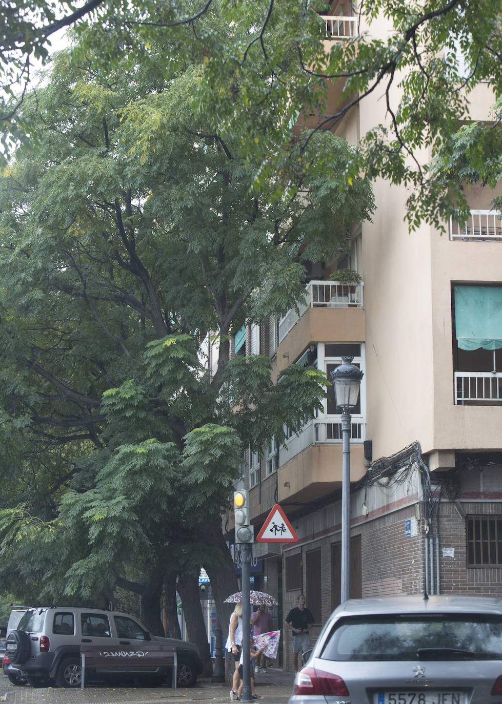 Así está Valencia: abandono evidente de las zonas ajardinadas