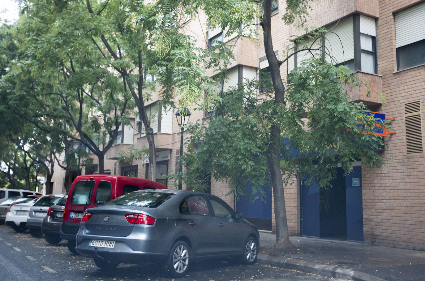 Así está Valencia: abandono evidente de las zonas ajardinadas