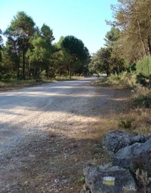 Imagen secundaria 2 - Rutas en la Comunitat | Banyeres de Mariola: Un Pequeño Recorrido con grandes sorpresas