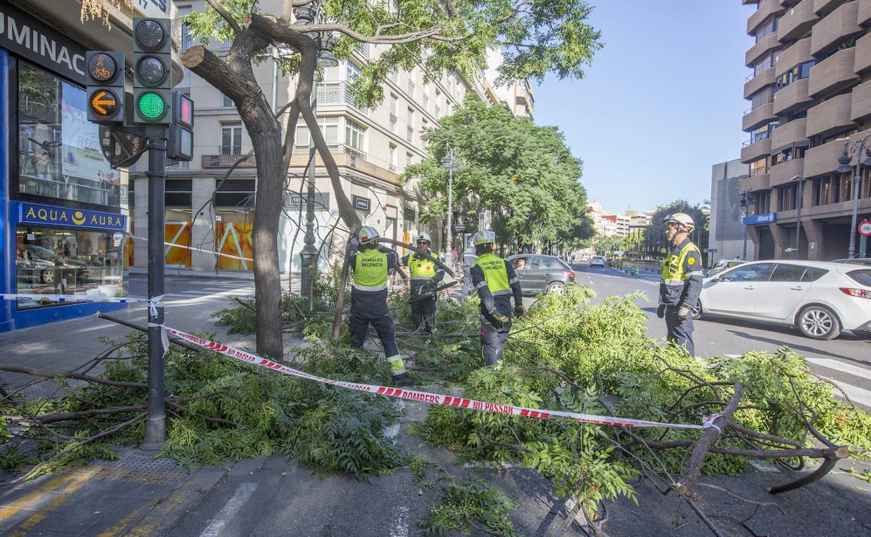 Retirada del árbol caído este jueves sobre el anillo ciclista, en la calle Guillem de Castro. 