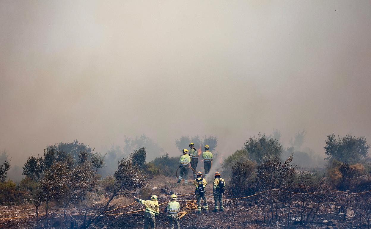 Bomberos trabajan en la extinción del incendio. 