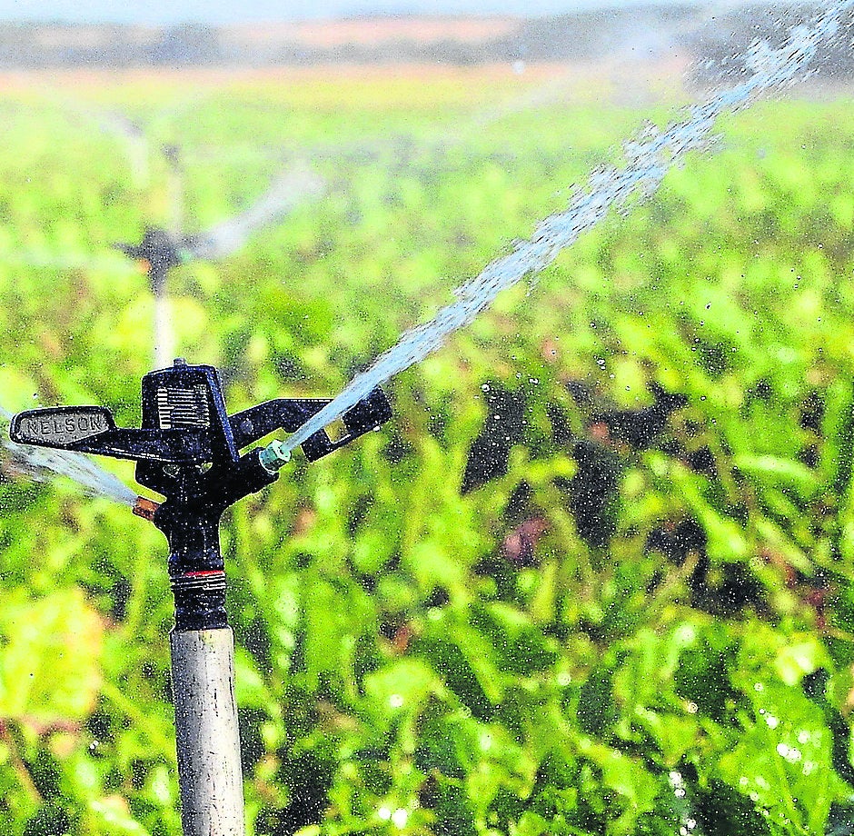 Boca de riego de un cultivo. 