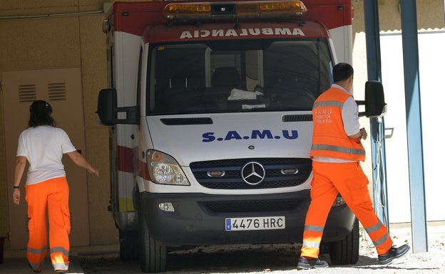 Muere un trabajador al caer de la cubierta de la piscina de la Universitat Politècnica de València 