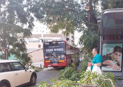 Imagen secundaria 1 - Intervención de los Bomberos y autobús pasando junto a la rama accidentada. 