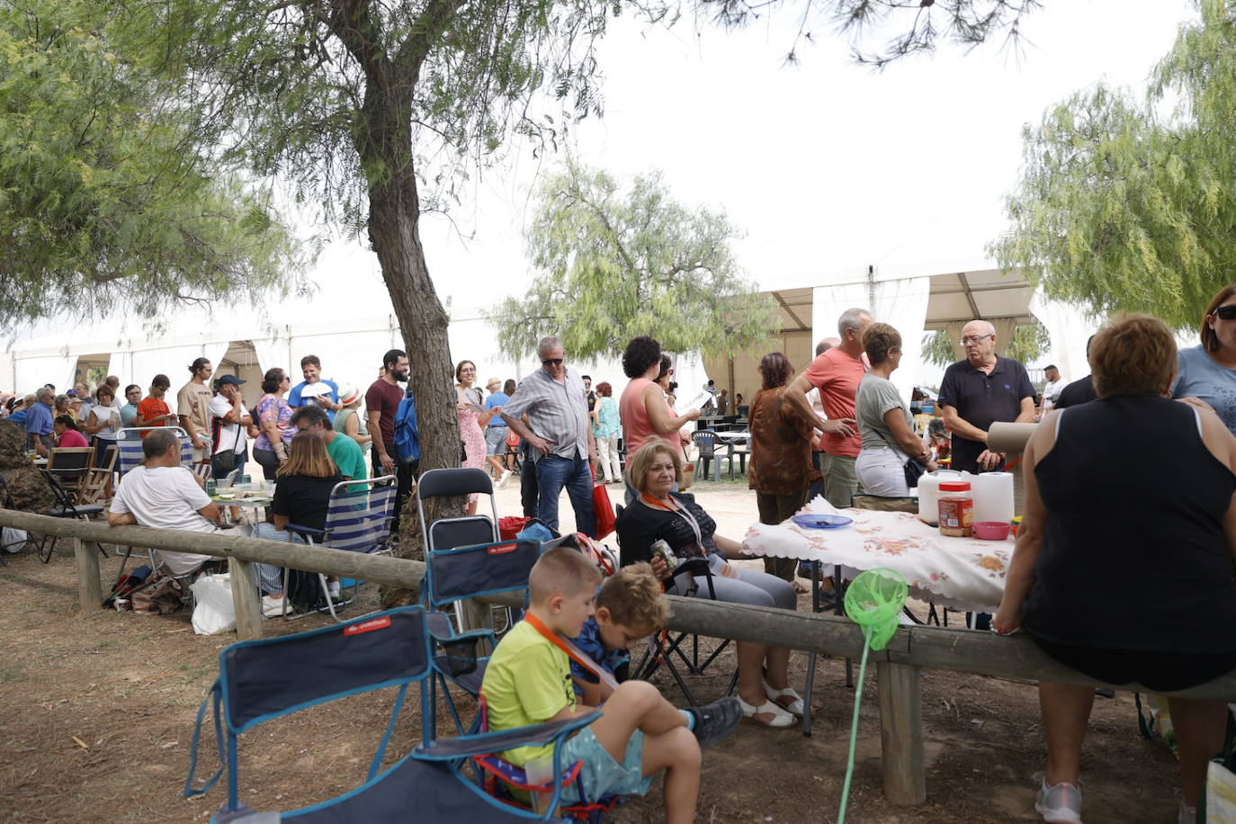 El concurso de allipebre de Catarroja cumple cincuenta años y bate récord con 150 familias o amigos participantes