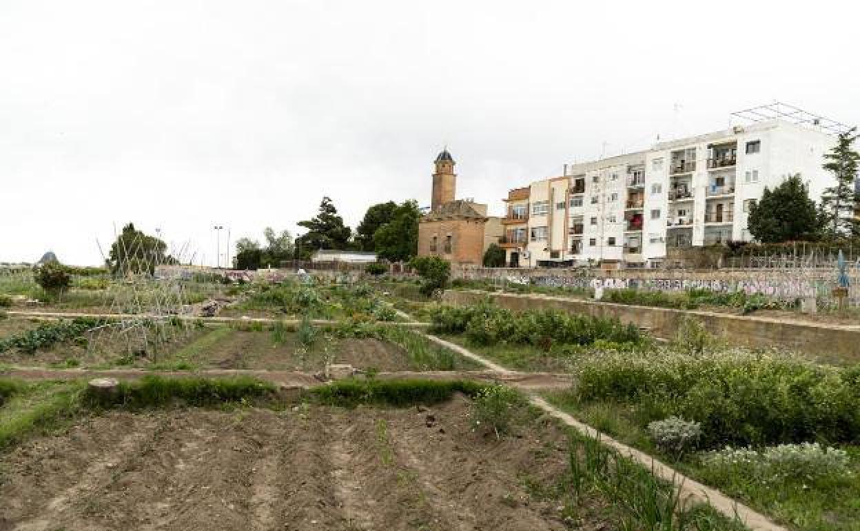 Una zona de huerta de Godella. 