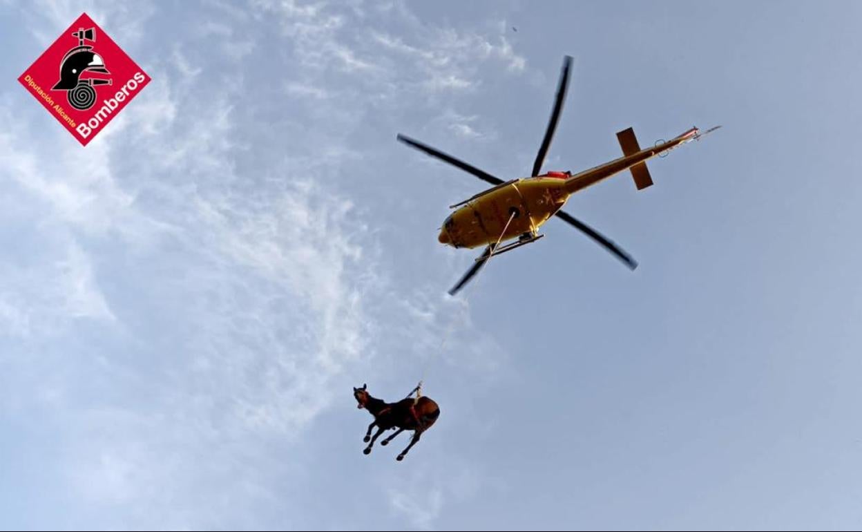 Imagen del momento del rescate de la yegua con el helicóptero. 