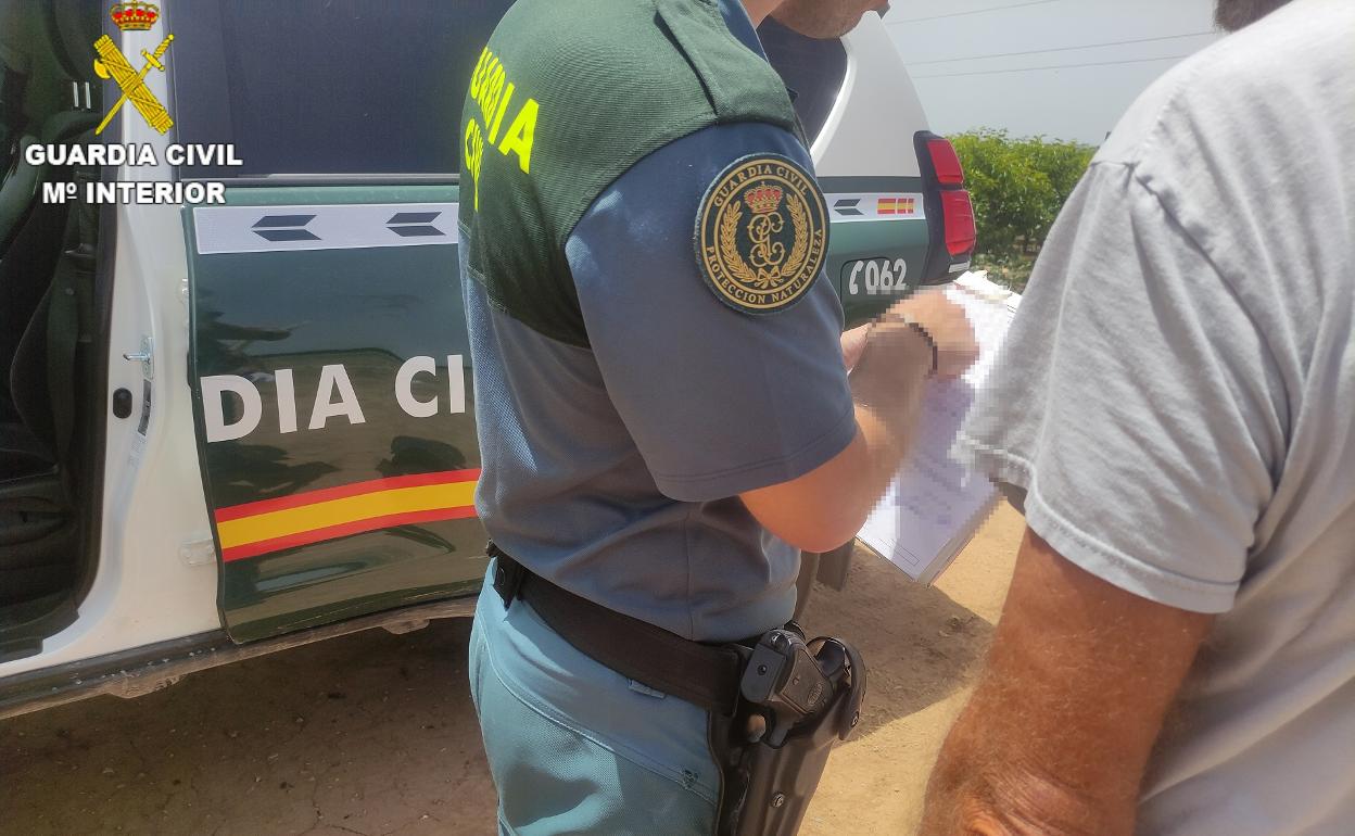 Una de las  personas sorprendidas cogiendo piñas fue propuesta para sanción por los gentes de la Guardia Civil. 