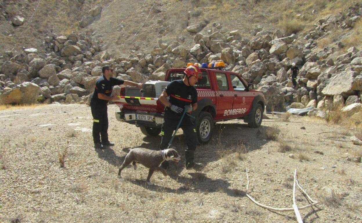 Un perro de rescate con los bomberos. 