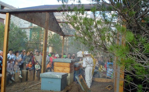 Colmenas en una de las ediciones anteriores de la Feria del Primer Corte de la Miel de Ayora. 