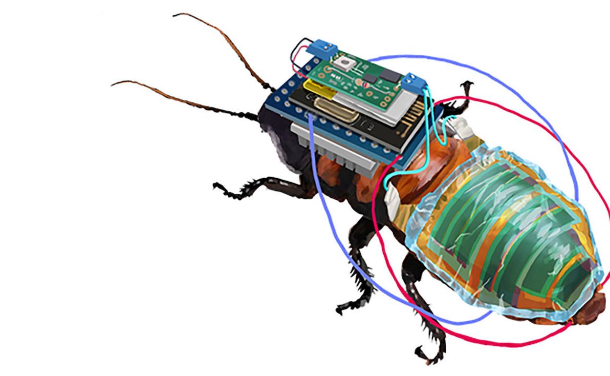 Una cucaracha cyborg con batería recargable.