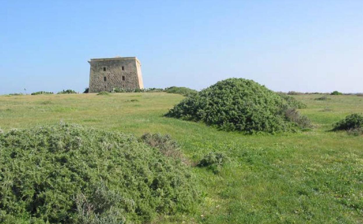 Zona de campo en la isla de Tabarca. 