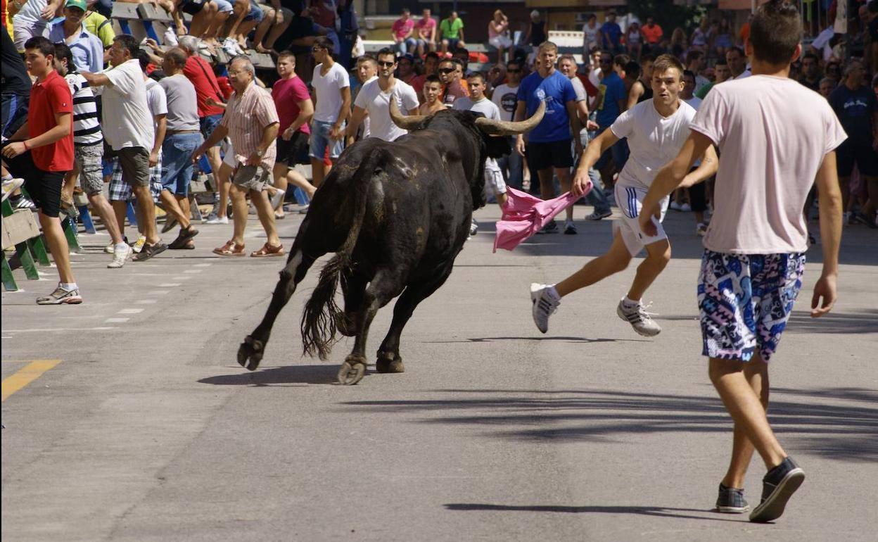 Un festejo de bous al carrer, en una imagen de archivo. 