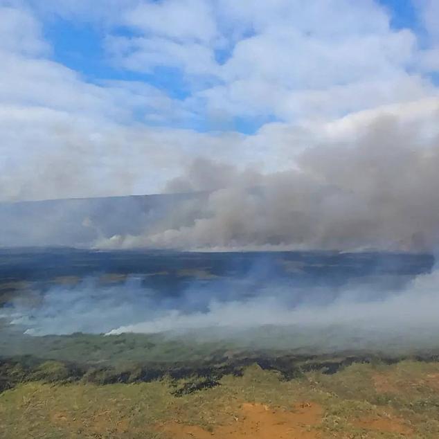 Fotos: Las llamas calcinan decenas de moái en Isla de Pascua