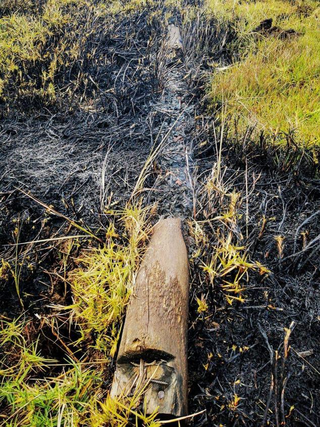 Fotos: Las llamas calcinan decenas de moái en Isla de Pascua