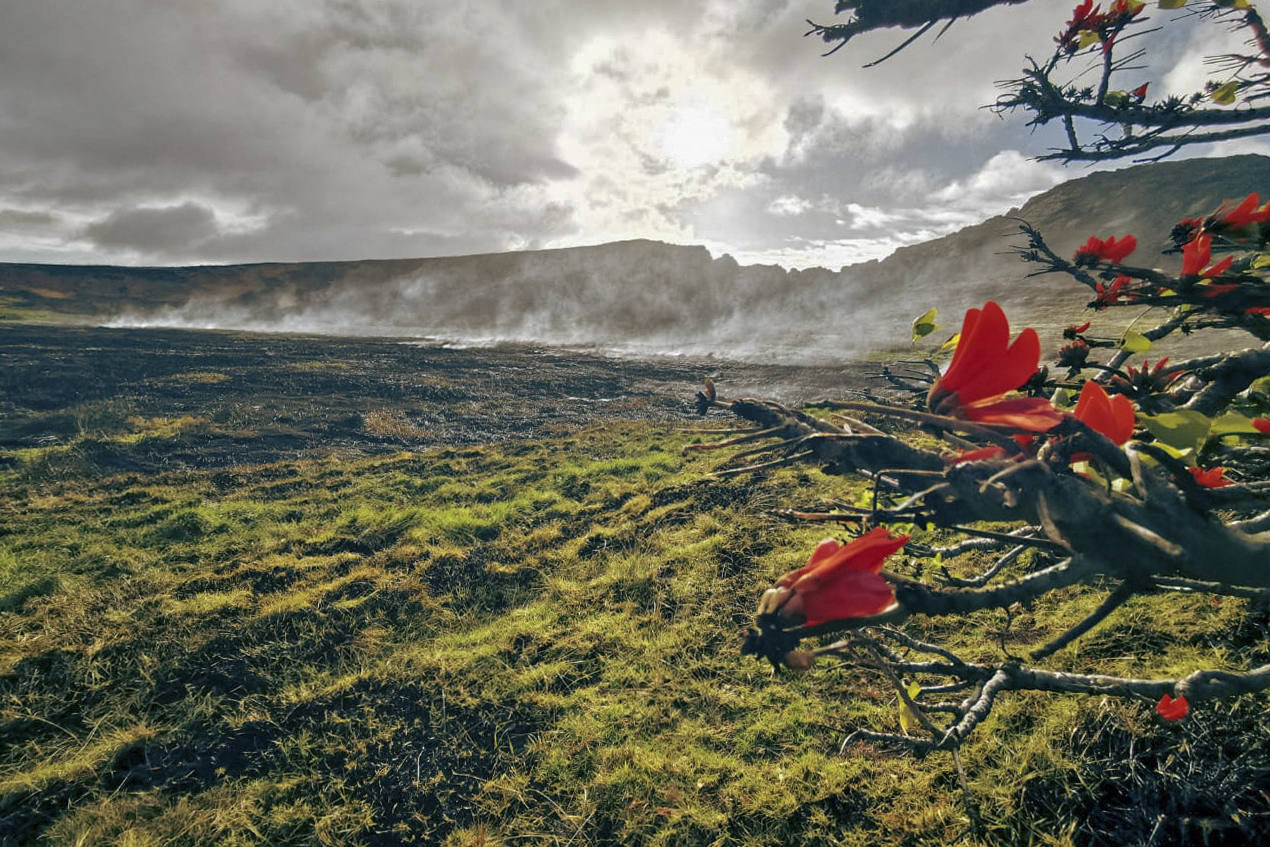 Fotos: Las llamas calcinan decenas de moái en Isla de Pascua