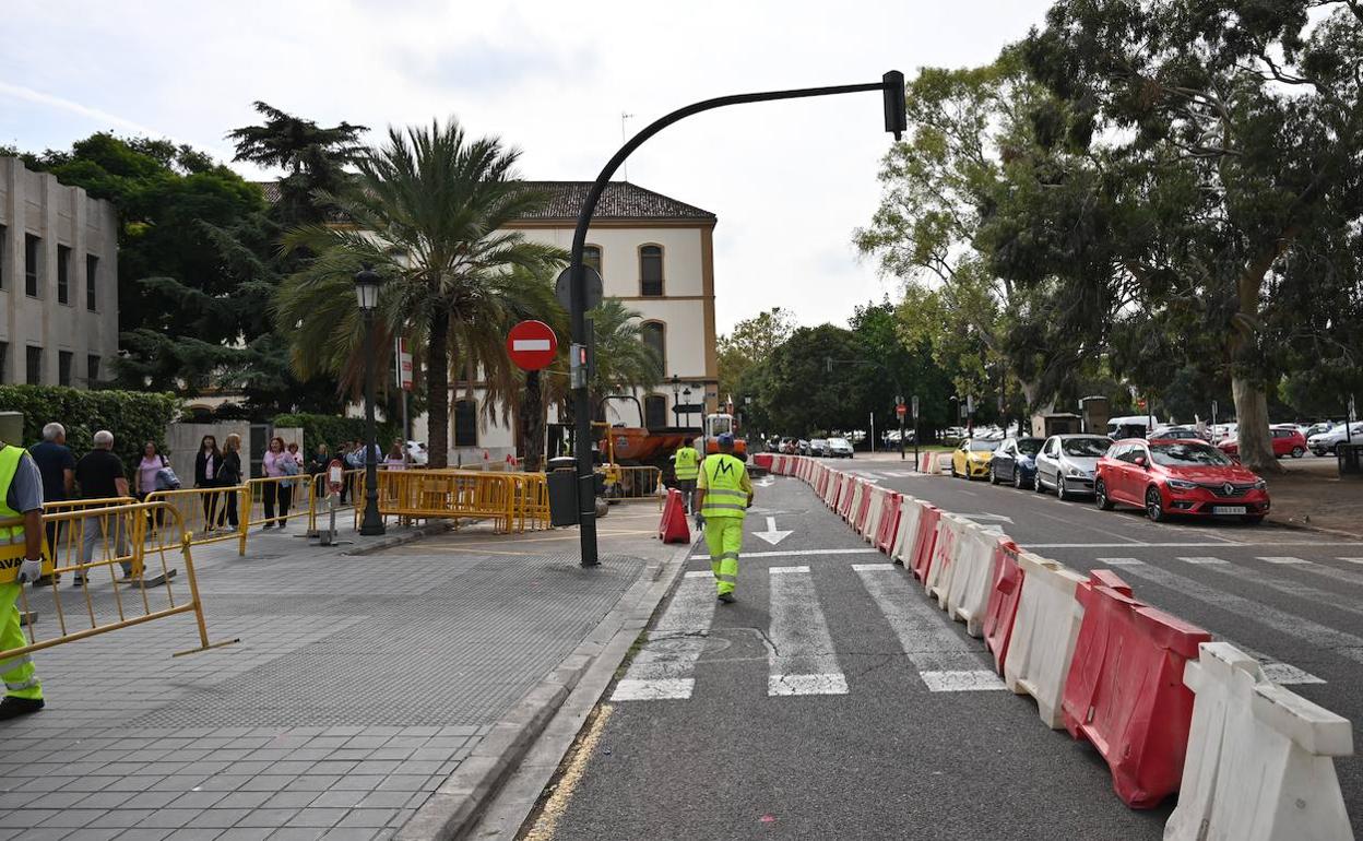 Obras en el nuevo carril bici.