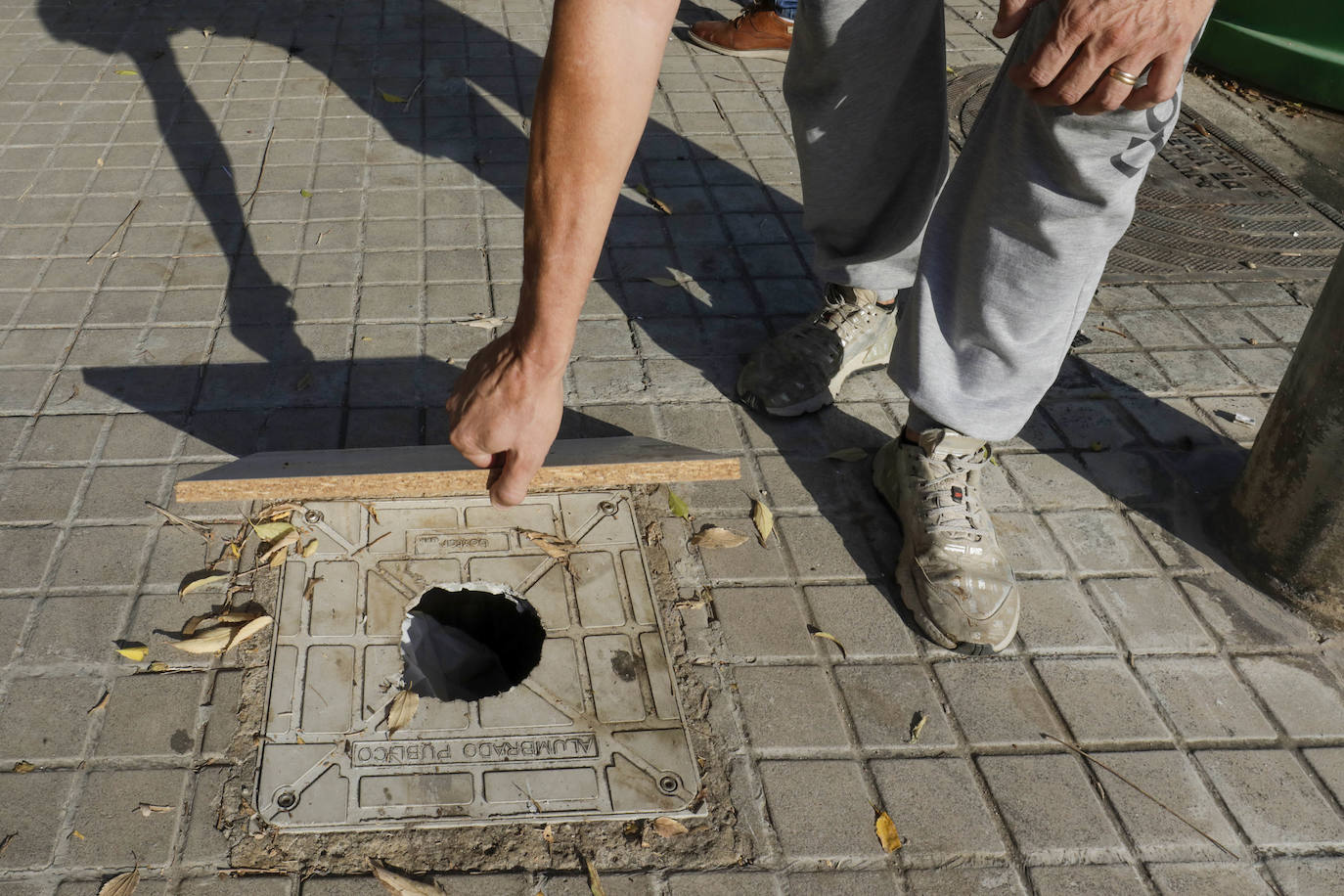 Fotos: Madrigueras de ratas en Valencia