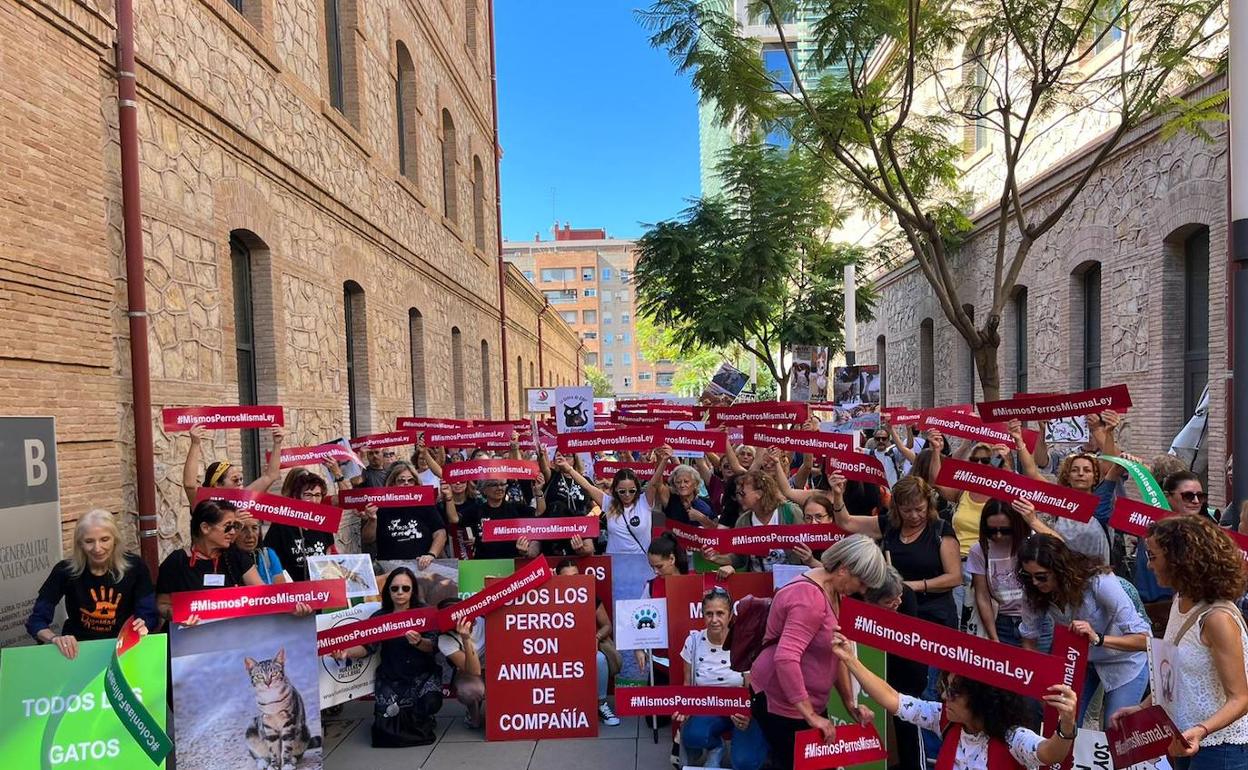 Asistentes a la concentración del viernes junto a la Conselleria de Agricultura. 