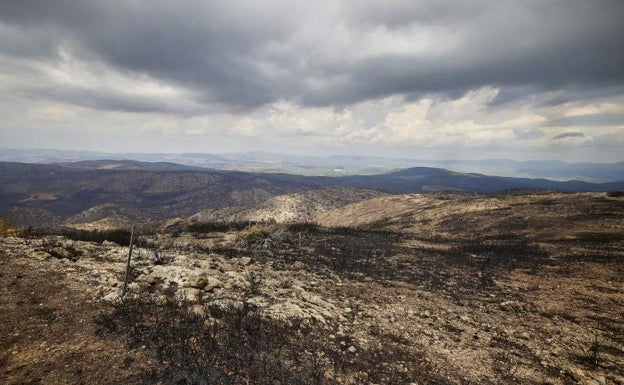 El Gobierno aprueba cerca de 900.000 euros para restaurar las zonas afectadas por los incendios de Bejís y la Vall d'Ebo