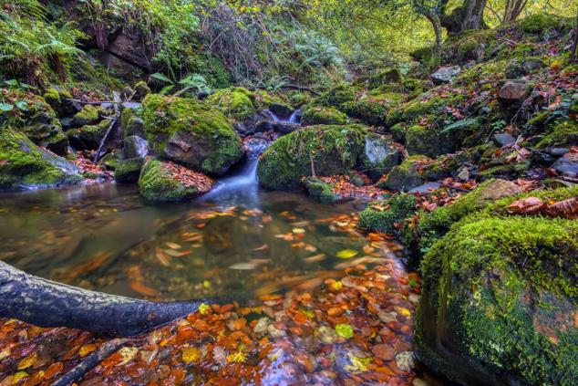 Laviana, Asturias.