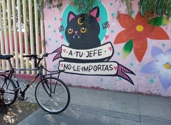 Arte urbano gatuno 