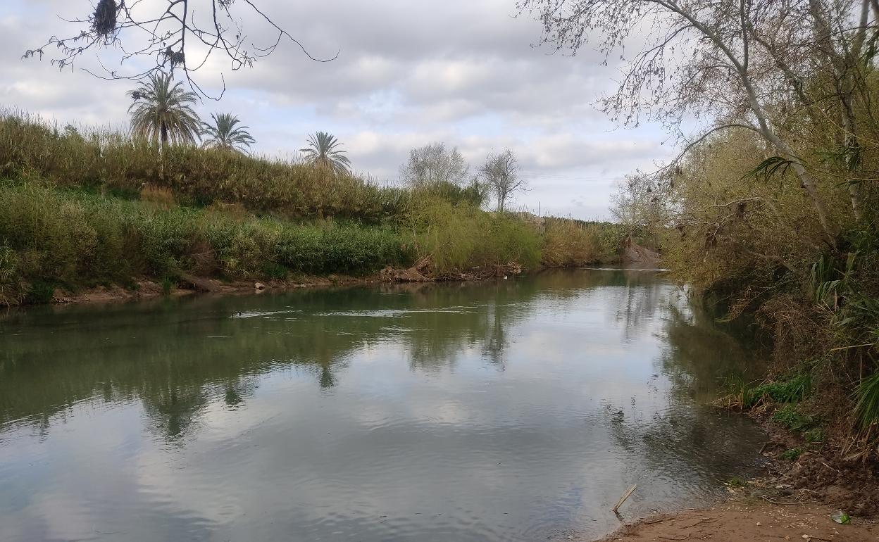 Río Júcar a su paso por Alzira. 