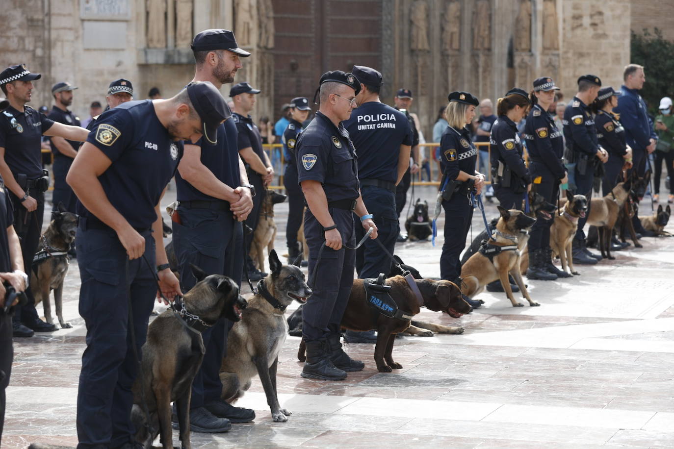 Fotos: Exhibición de unidades caninas de policías y bomberos en la plaza de la Virgen