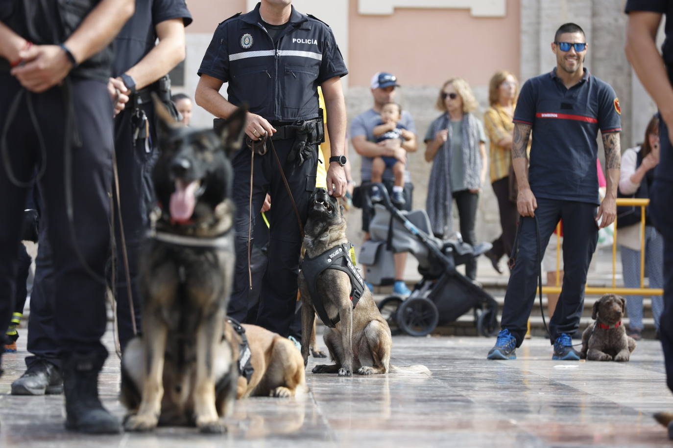 Fotos: Exhibición de unidades caninas de policías y bomberos en la plaza de la Virgen