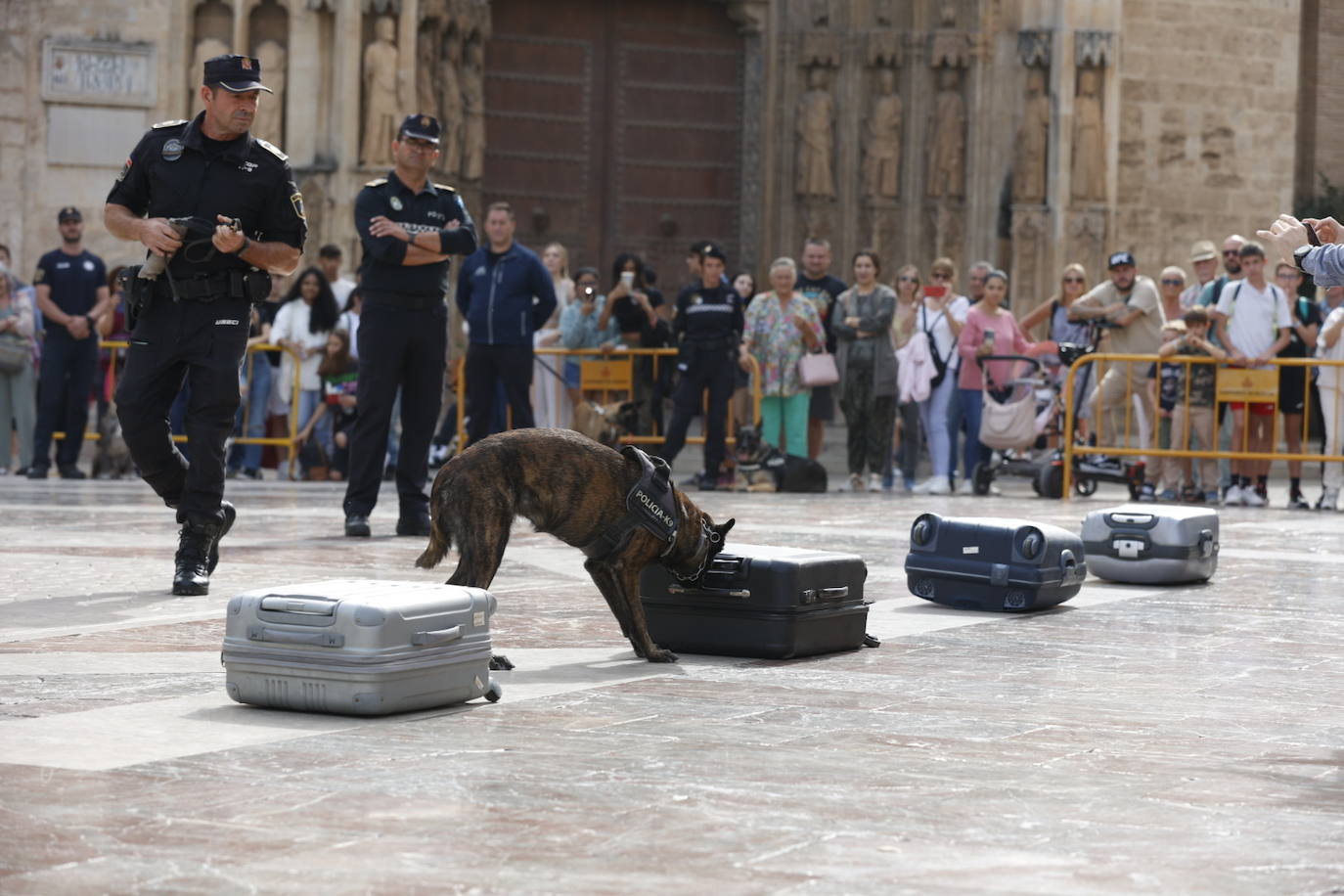 Fotos: Exhibición de unidades caninas de policías y bomberos en la plaza de la Virgen