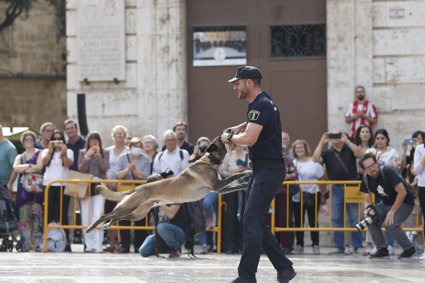 Fotos: Exhibición de unidades caninas de policías y bomberos en la plaza de la Virgen