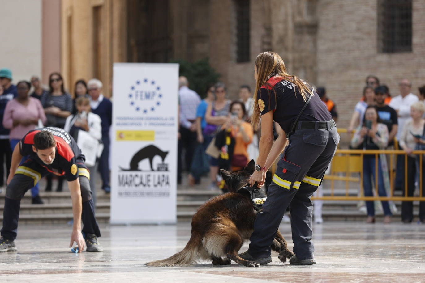 Fotos: Exhibición de unidades caninas de policías y bomberos en la plaza de la Virgen