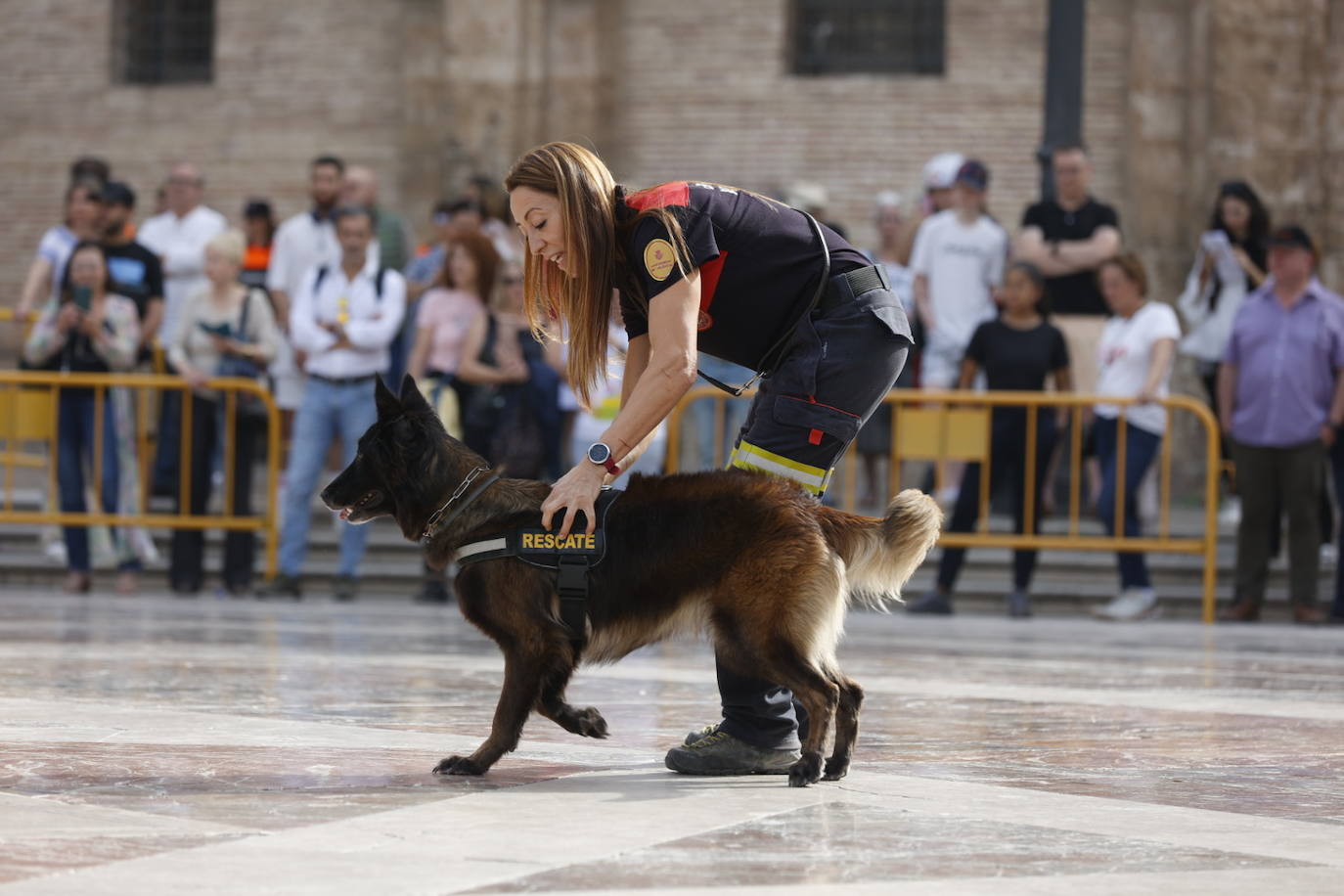 Fotos: Exhibición de unidades caninas de policías y bomberos en la plaza de la Virgen